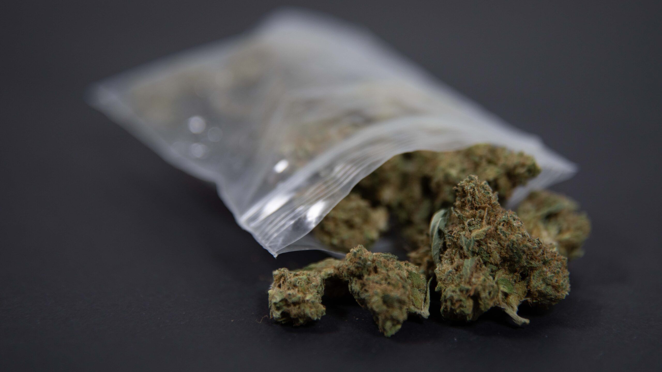 The Impact of Illegal Cannabis Cultivation on the Legal Market